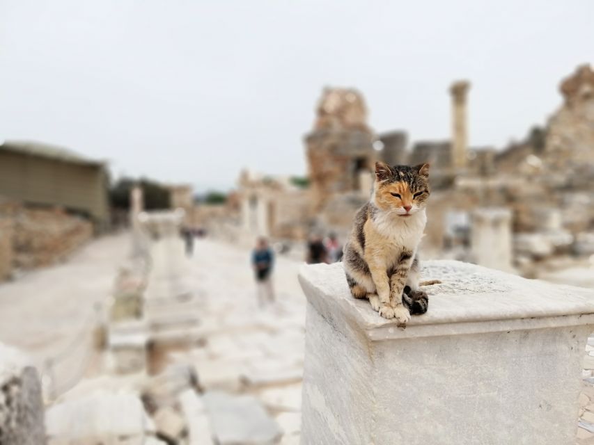 From Istanbul: Private Guided Day Trip to Ephesus with Lunch - Morning Pickup and Izmir Flight: How the Day Starts