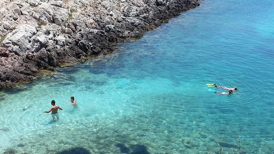 From Izmir: Full Day Boat Trip around Cesme with BBQ Lunch - Donkey Island: a real walk break, not just another stop