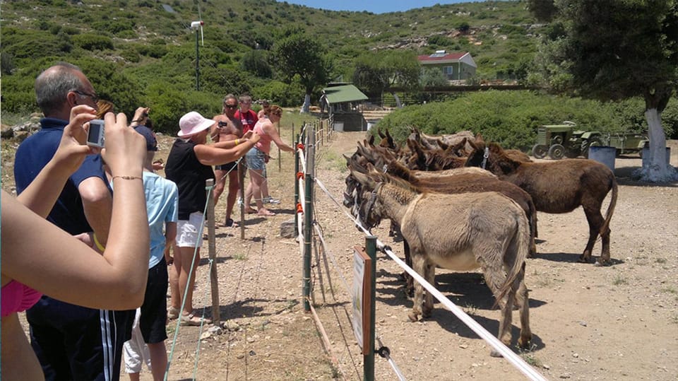 From Izmir: Full Day Boat Trip around Cesme with BBQ Lunch - Aquarium Bay: your first swim stop and the snorkeling question