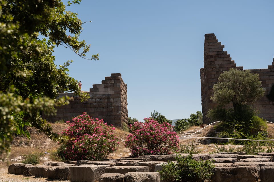 From Kos: A day ride to Bodrum with comfortable transfer - Price and Value: Is $64 Worth It?
