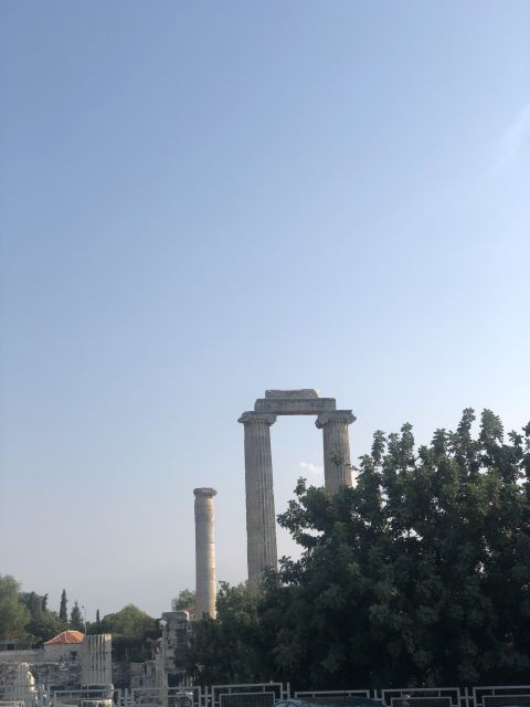 From Kusadasi: Priene, Miletos, and Didyma Private Day Trip - Key highlights worth planning around