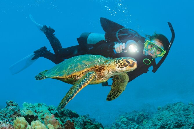 From Side, Alanya: Scuba Diving With 2 Time Dive & Lunch - Key Highlights You’ll Actually Notice