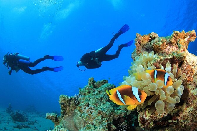From Side, Alanya: Scuba Diving With 2 Time Dive & Lunch - The Second Underwater Stop At 7–8 Meters: More Challenge, Still Controlled