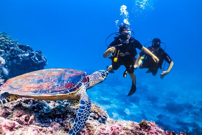 From Side, Alanya: Scuba Diving With 2 Time Dive & Lunch - Boat Ride In The Mediterranean: The Part You Might Underestimate
