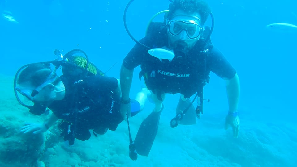 From Side: Guided Scuba Diving in Alanya w/ Lunch & Transfer - Price and logistics: is $53 good value?