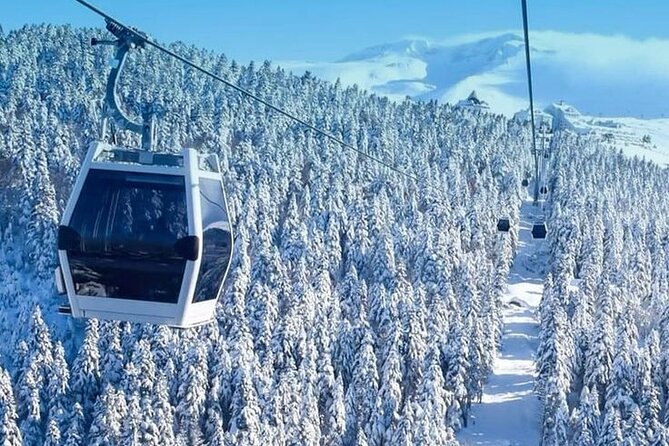 Full Day Bursa Tour from Istanbul(cable car, Lunch & transfer) - Price and logistics for a 14-hour Bursa escape
