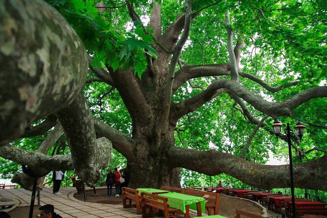Full Day Bursa Tour from Istanbul(cable car, Lunch & transfer) - Bursa Teleferik and Uludağ: the big view moment