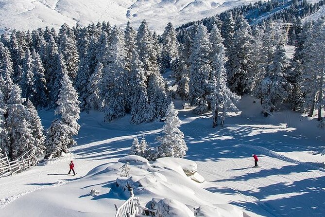 Full Day Bursa Tour with Cable Car & lunch from Istanbul - How Bursa from Istanbul actually plays out (11–12 hours)