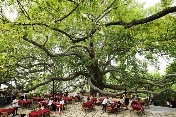 Full Day Bursa Tour with Cable Car & lunch from Istanbul - The Inkaya plane tree stop: a calm break for photos and shade