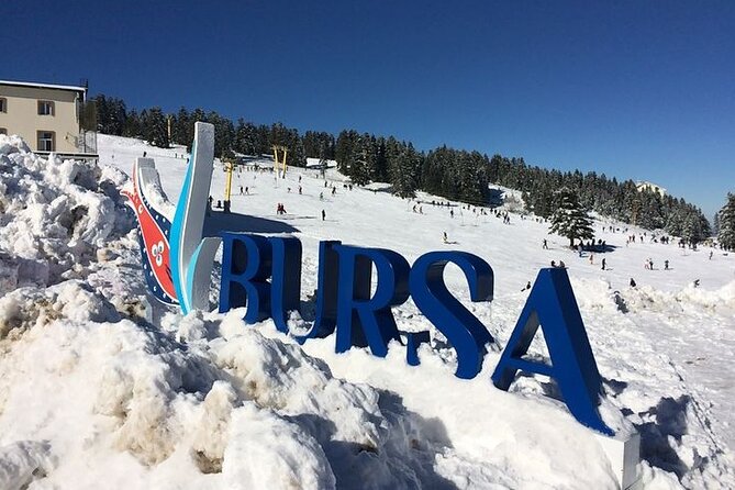 Full Day Bursa Tour with Cable Car & lunch from Istanbul - Uludağ National Park: nature time and what you’ll likely do there