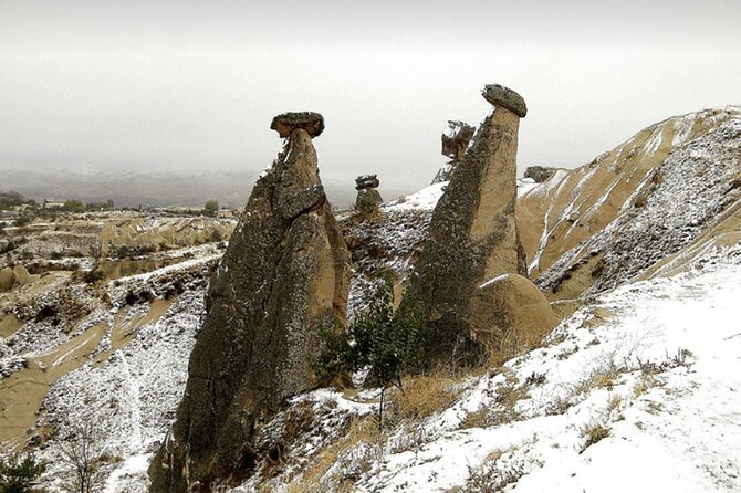Full day Cappadocia red tour with lunch - Devrent Valley (Imaginary Valley): playful formations and free time