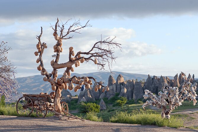 Full Day Cappadocia Red Tour (With & Without Museum and Lunch) - Price and Value: What $67.88 Actually Buys