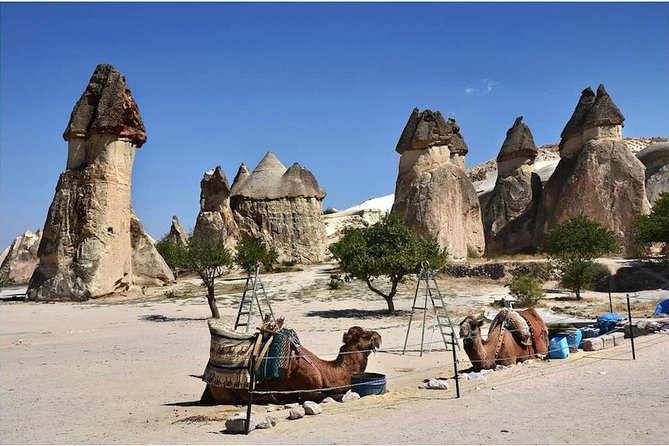 Full-Day Cappadocia Tour with Goreme Open Air Museum and Fairy Chimneys - Devrent Valley: the fun geology stop for quick wow photos