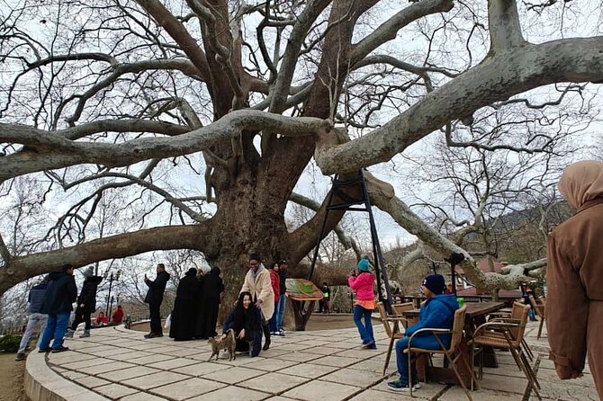 Full Day Guided Tour to Bursa and Uludag - Bursa and Uludag: Why this route works as a long day