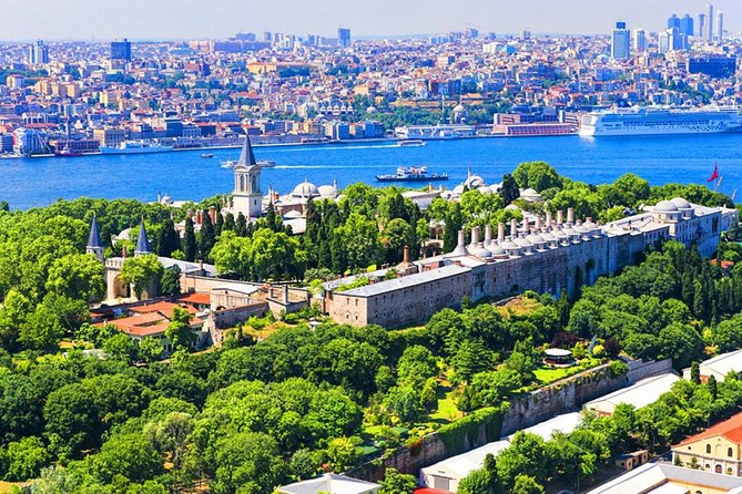 Full Day Guided Tour to Old City - Cultural Walking Tour of Istanbul - Blue Mosque in 45 minutes: a living mosque with a visitor plan