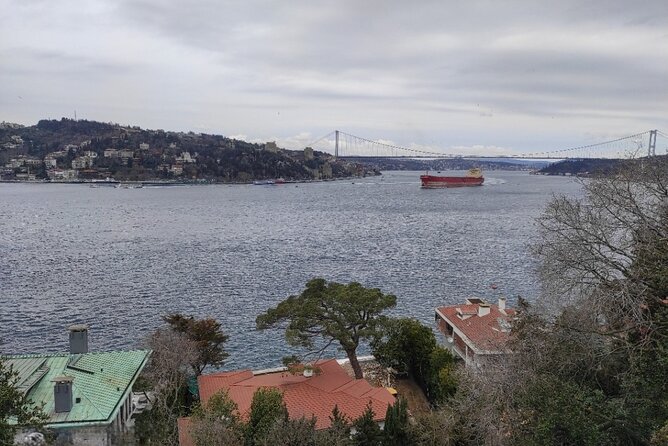 Full Day Istanbul Bosphorus Cruise and Dolmabahce Palace Tour with Private Guide - Bosphorus Bridge area cruise: the public boat ride that gives real perspective