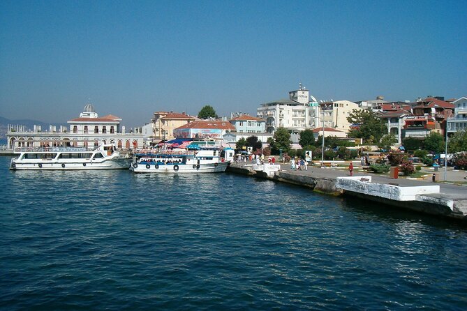 Full-Day Princes Island Tour with Lunch from Istanbul - Heybeliada Walking Tour: Pines, Bays, and Old-Villa Atmosphere