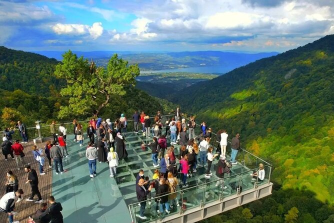 Full Day Tour in Sapanca from Istanbul - Darica Zoo vs. Lion Park: the seasonal fork in the road