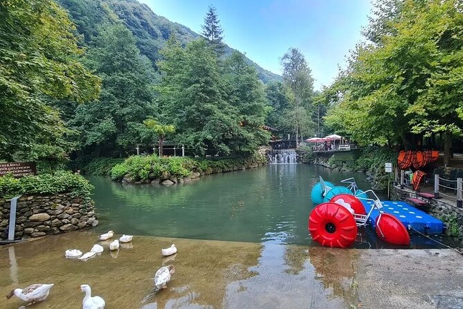 Full Day Tour in Sapanca & Masukiye from Istanbul - Hotel Pickup from Istanbul: What to Expect and Who Can Join