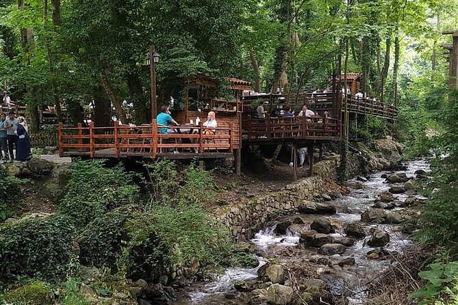 Full Day Tour in Sapanca & Masukiye from Istanbul - Logistics That Can Make or Break Your Day