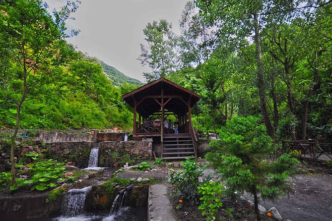 Full Day Tour Sapanca and Masukiye from Istanbul - Mahmudiye waterfalls lunch: where the meal fits into the scenery plan