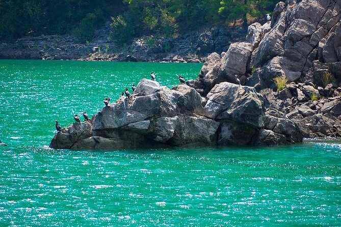 Green Canyon Boat Trip from Side - Cruising 14 km in Green Canyon: Boats, Views, and a Real Swim Stop