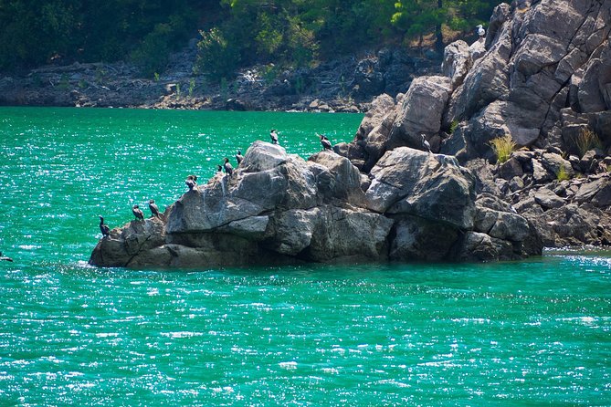 Green Canyon Boat Trip with Lunch From Side - The value math: how $66.38 makes sense (and where it may not)