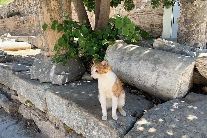 Guided Ephesus Tour From/to Izmir - How the Private Group Format Affects Your Comfort