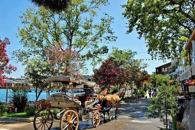 Guided VIP Princes Island Full Day Tour from Istanbul with Lunch - Heybeliada walking tour: pine forests, old villas, and bay views