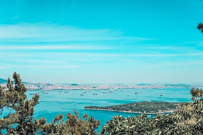 Guided VIP Princes Island Full Day Tour from Istanbul with Lunch - Price and value: why this $38 day can work well