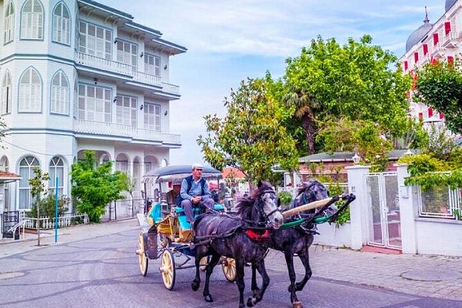 Guided VIP Princes Island Full Day Tour from Istanbul with Lunch - Büyükada time: seafood lunch, beach break, and strolling at your pace