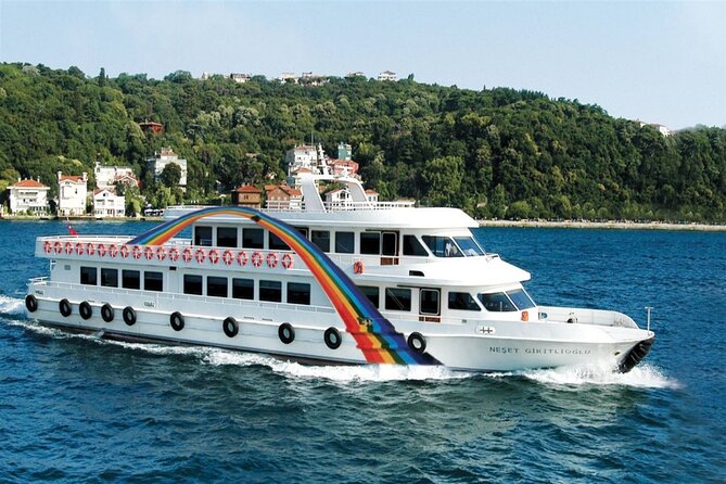 Hagia Sophia, Bosphorus cruise, Blue Mosque, Guided - Small Group - Price and logistics: what your $53.88 really covers