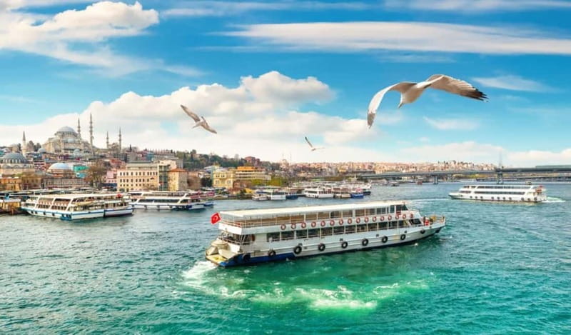 Hagia Sophia, Bosphorus cruise Blue Mosque, Small Group tour - Key Highlights You’ll Feel Immediately