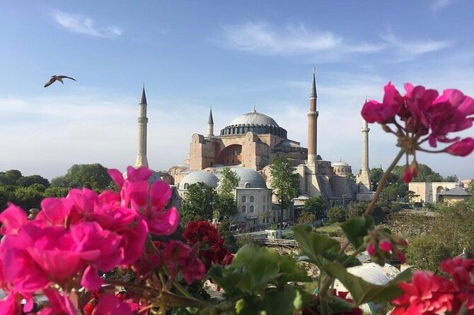Hagia Sophia Group Tour ( Licensed Guide) - Why a Licensed Guide Makes Hagia Sophia Make Sense in 40 Minutes