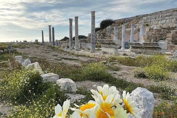 Half Day Guided Knidos Ancient City Tour - Should You Book This Knidos Half-Day Tour?