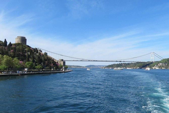 Half Day Morning Bosphorus Cruise & Spice Bazaar visit (Bus and Boat Tour) - Guide, group size, and what that means for your morning