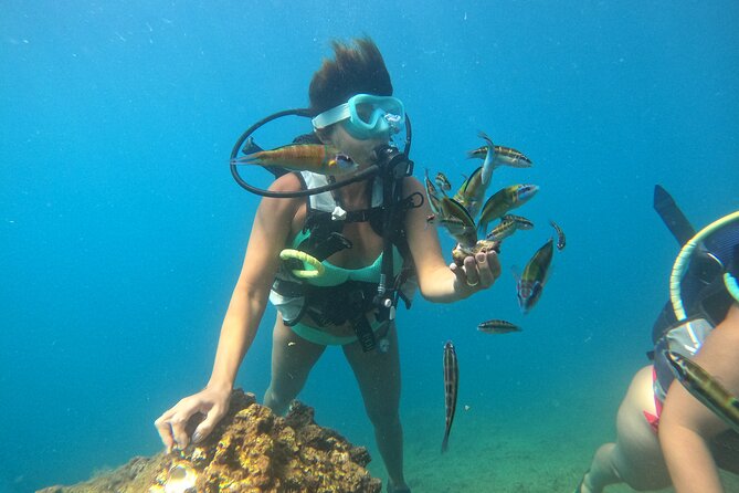 Half Day Scuba Diving @ Duden Waterfalls - Your underwater plan: one guided session for beginners, two for experienced