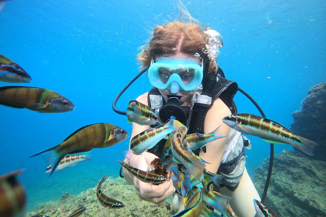 Half Day Scuba Diving @ Duden Waterfalls - Who should book this half-day scuba and waterfalls trip?