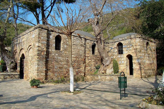 Highlights of Ephesus Private Tour From Kusadasi Port - Ephesus Ancient City: The Walk That Makes the Scale Real