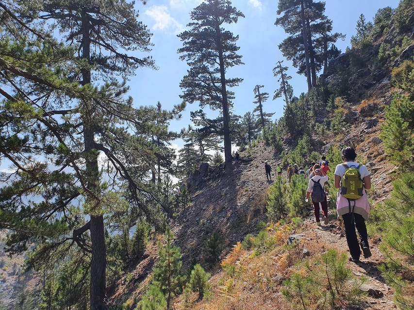 Hiking Tour At The Taurus Mountains of Alanya - The Hiking Plan: 10–15 km, and How the Season Changes Everything