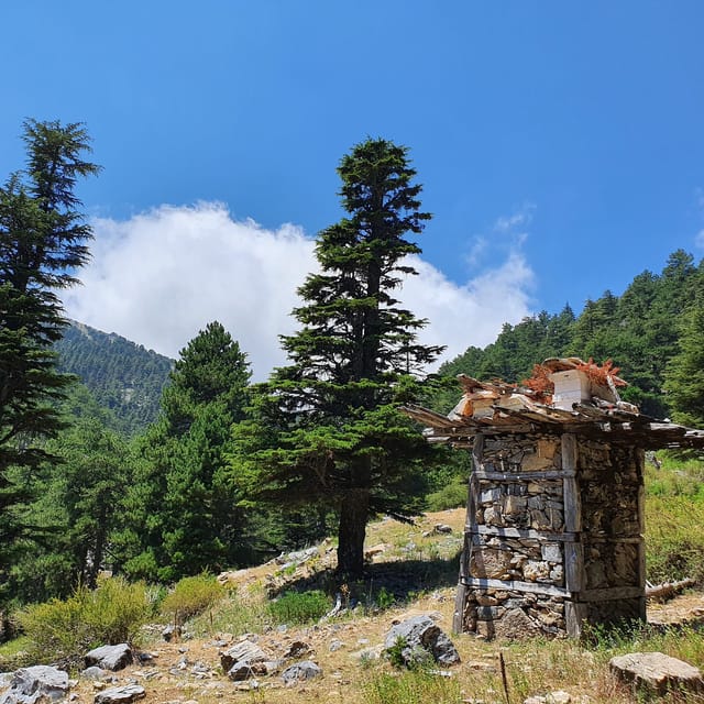 Hiking Tour At The Taurus Mountains of Alanya - Where You’ll Actually Go: Forests, Canyons, Mountain Paths, and Villages