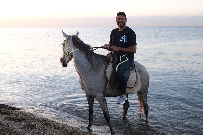 Horse back Riding in Antalya - Your Route: What happens after pickup and once you reach Lara Beach