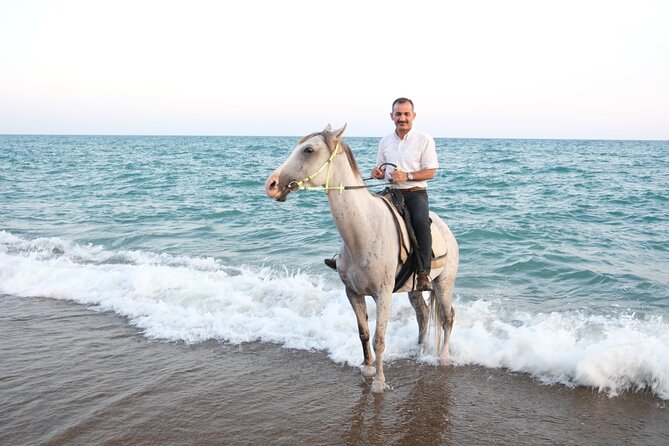 Horse back Riding in Antalya - Horse care and tack: what the reviews say you should watch for
