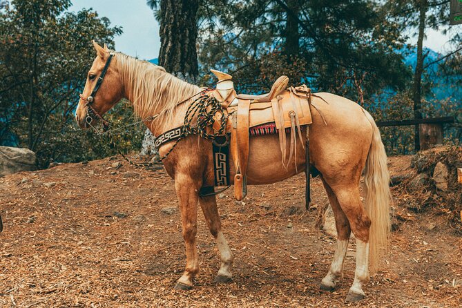 Horse Ride with Mountain Views - Pickup, Mobile Ticket, and a Small Group of Up to 4
