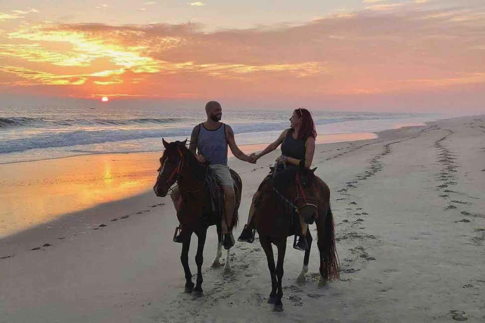 Horse Riding and Training Experience on a Farm in Antalya - Key highlights to know before you go