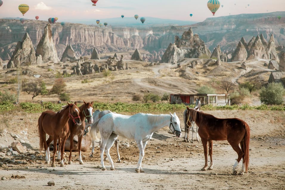 Horse Riding Cappadocia- Cappadocia Horse Farm - Where you start: pickup options across Göreme, Uçhisar, Avanos and more