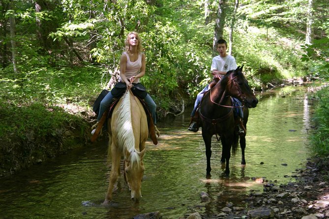 Horse Riding Experience in Marmaris with Transfer - Quick take: what makes this horse safari work