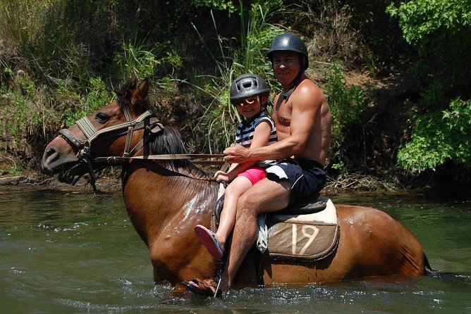 Horse Riding Experience in Marmaris with Transfer - Getting From Your Marmaris Hotel Up to Pinar’s Stables