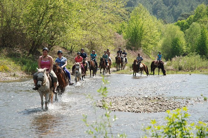 Horse Riding Experience in Marmaris with Transfer - Through Forest and a Knee-Deep River: What the 1-Hour Ride Feels Like