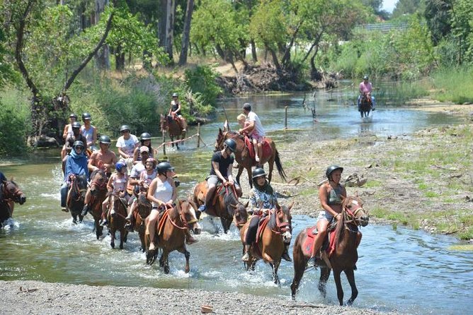 Horse Riding Experience in Marmaris with Transfer - Who Should Book This Marmaris Horse Safari (And Who Should Skip It)